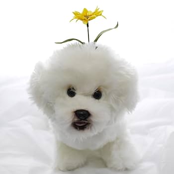 花束どーぞ♡ひまわりネコちゃん(=^_^=)5センチパッチンピン Amazon.co.jp: [ネネズデコ] 犬 ヘアピン 花 犬服 飾り